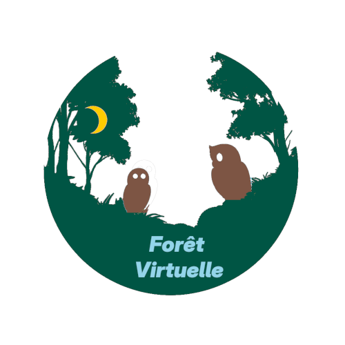 Logo du site Forêt Virtuelle, deux hiboux qui discutent au sol dans une forêt durant la nuit.